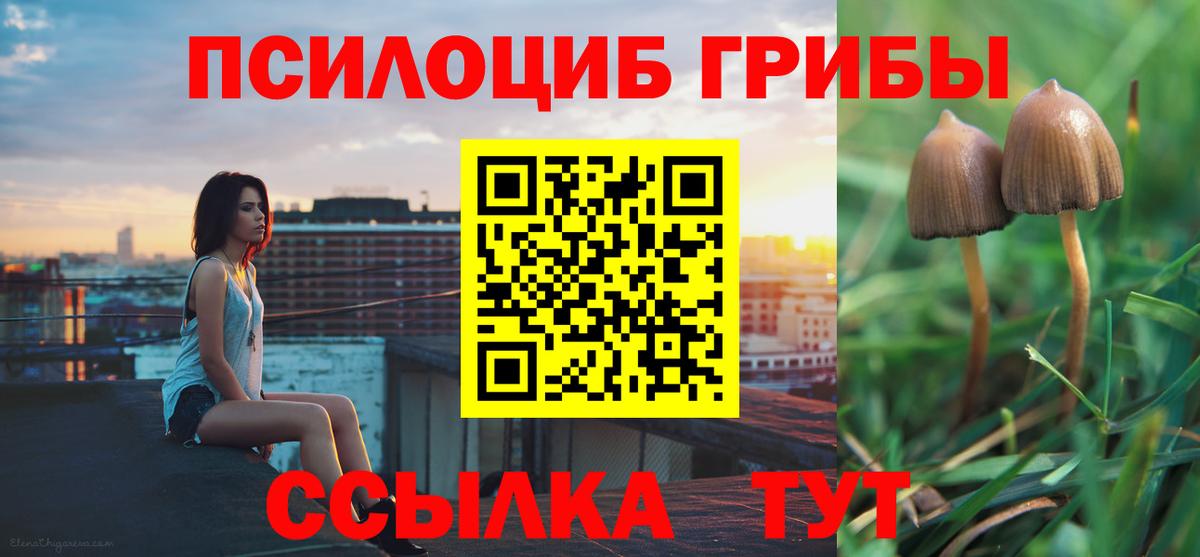 Галлюциногенные грибы мухоморы  где купить наркоту  Партизанск  Вход с VPN 